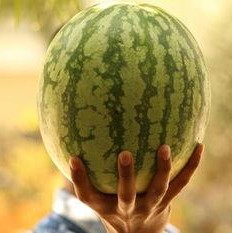 吃瓜大瓜事件,揭秘网络舆论狂欢背后的真相